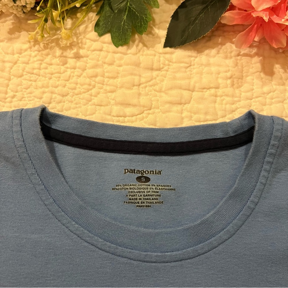 Patagonia Organic Cotton Thick Short Sleeve Tee - Blue - Picture 4 of 13